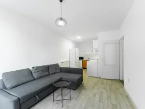 Prodej bytu 2+kk, Kralupy nad Vltavou - Lobeček, J. Holuba, 40 m2