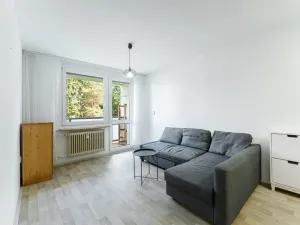 Prodej bytu 2+kk, Kralupy nad Vltavou - Lobeček, J. Holuba, 40 m2