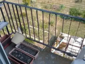 Dražba bytu 2+1, Rybitví, Školní, 51 m2