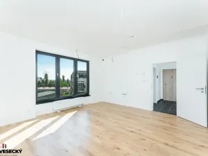 Prodej bytu 1+kk, Plzeň, Železná, 34 m2