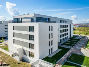 Prodej bytu 1+kk, Plzeň, Železná, 34 m2
