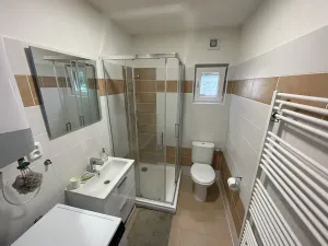 Prodej rodinného domu, Šubířov, 245 m2