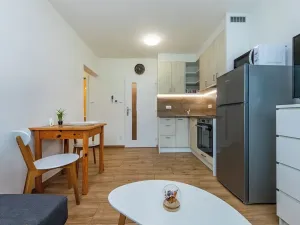 Pronájem bytu 1+kk, Měchenice, Vltavská, 19 m2