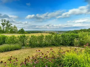 Prodej rodinného domu, Rabštejnská Lhota - Rabštejn, 160 m2