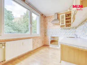 Pronájem bytu 1+1, Plasy, Potoční, 38 m2