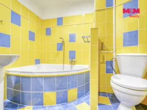 Pronájem bytu 1+1, Plasy, Potoční, 38 m2