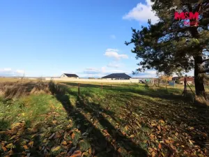 Prodej pozemku pro bydlení, Mohelnice - Podolí, 1441 m2