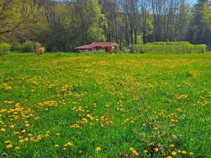 Dražba pozemku pro bydlení, Omlenice, 4505 m2