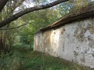 Dražba louky, Žďár, 160 m2