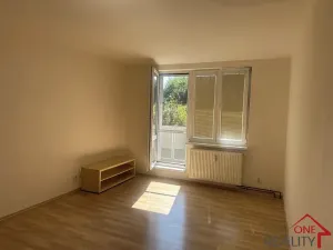 Pronájem bytu 1+1, Staré Město, Kopánky, 35 m2