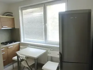 Pronájem bytu 1+1, Staré Město, Kopánky, 35 m2