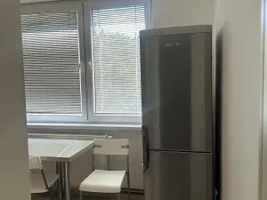 Pronájem bytu 1+1, Staré Město, Kopánky, 35 m2