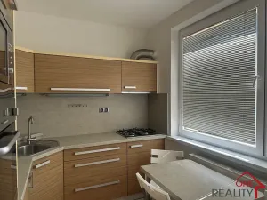 Pronájem bytu 1+1, Staré Město, Kopánky, 35 m2