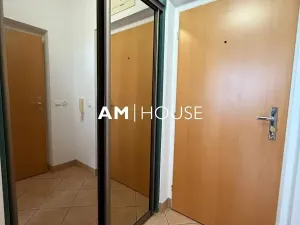 Pronájem bytu 1+kk, Praha - Libeň, Kurta Konráda, 29 m2