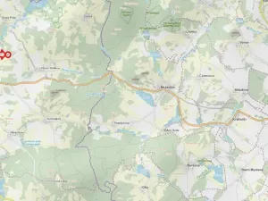 Prodej lesa, Studená, 1938 m2