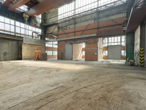 Pronájem výrobních prostor, Ostrava, 9648 m2