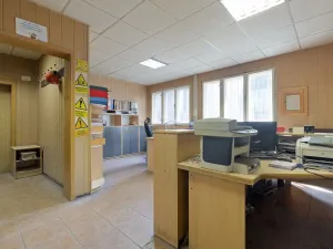 Pronájem výrobních prostor, Ostrava, 9648 m2