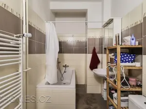 Pronájem bytu 2+1, Praha - Karlín, Sokolovská, 49 m2