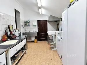 Prodej rodinného domu, Písek, Hradiště, 497 m2