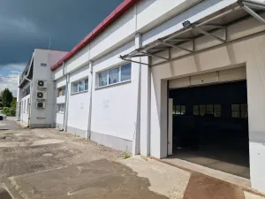 Pronájem obchodního prostoru, Havířov - Bludovice, Těšínská, 450 m2