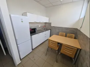 Pronájem výrobních prostor, Havířov - Bludovice, Těšínská, 450 m2