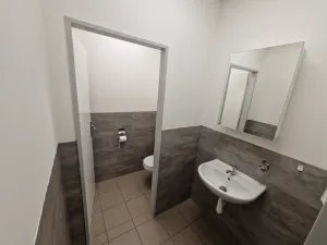 Pronájem výrobních prostor, Havířov - Bludovice, Těšínská, 450 m2