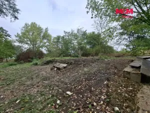 Prodej lesa, Šakvice, 815 m2