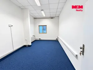 Pronájem kanceláře, Praha, Štúrova, 20 m2