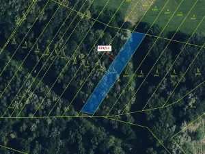 Dražba lesa, Přerov, 1322 m2