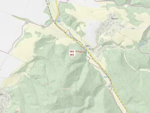 Dražba lesa, Biskupice, 1054 m2