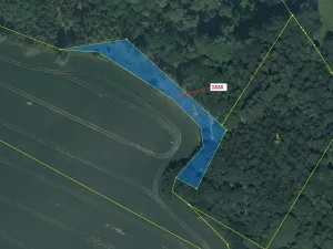 Dražba lesa, Chotýšany, 1841 m2