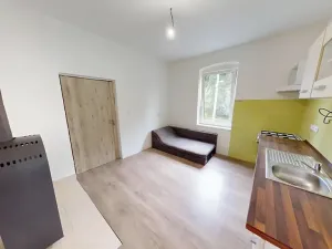 Pronájem bytu 1+1, Holčovice, 45 m2