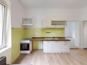 Pronájem bytu 1+1, Holčovice, 45 m2
