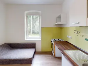 Pronájem bytu 1+1, Holčovice, 45 m2