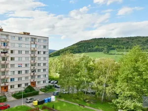 Prodej bytu 3+1, Ústí nad Labem, Werichova, 68 m2