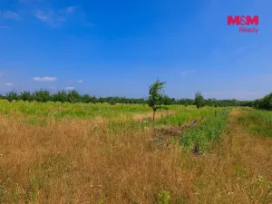 Prodej pole, Rakvice, 12442 m2