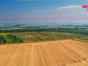 Prodej pole, Rakvice, 123477 m2