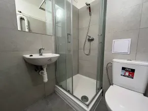 Pronájem bytu 1+1, Třinec, Jablunkovská, 30 m2