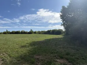 Prodej zahrady, Říčany, Do Lehovic, 2317 m2