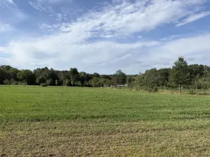 Prodej zahrady, Říčany, Do Lehovic, 2317 m2