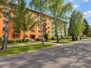 Pronájem bytu 1+1, Přerov, Petřivalského, 39 m2