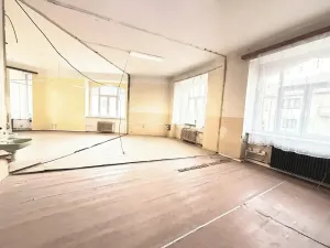 Prodej kanceláře, Milevsko, Gen. Svobody, 983 m2