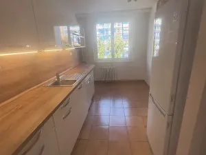Pronájem bytu 3+1, Praha - Hodkovičky, Pod lysinami, 79 m2