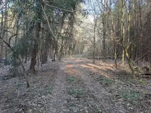 Prodej pozemku, Probulov, 3017 m2