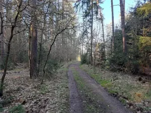 Prodej pozemku, Probulov, 3017 m2
