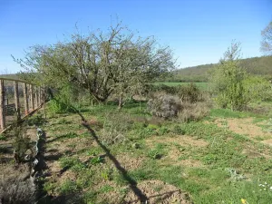 Prodej zahrady, Brno, Řezáčova, 1392 m2