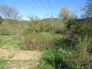 Prodej zahrady, Brno, Řezáčova, 1392 m2