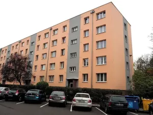 Pronájem bytu 2+1, Ústí nad Labem, Kozinova, 55 m2