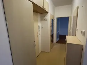 Pronájem bytu 2+1, Ústí nad Labem, Kozinova, 55 m2