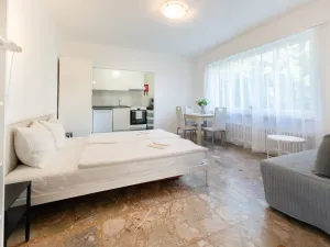 Pronájem bytu 1+1, Minusio, Švýcarsko, 30 m2